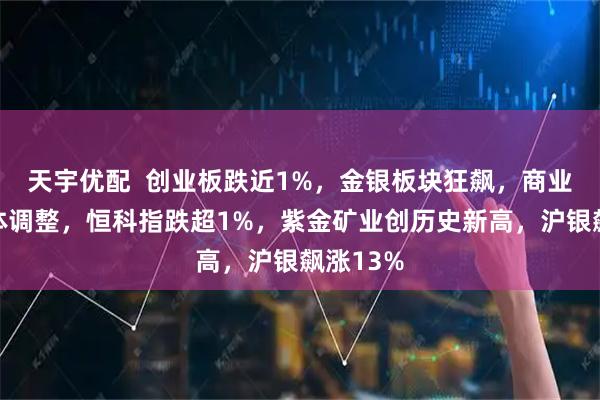 天宇优配  创业板跌近1%，金银板块狂飙，商业航天集体调整，恒科指跌超1%，紫金矿业创历史新高，沪银飙涨13%