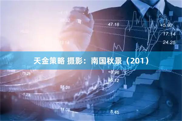 天金策略 摄影：南国秋景（201）