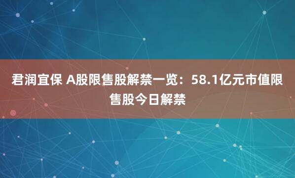 君润宜保 A股限售股解禁一览：58.1亿元市值限售股今日解禁